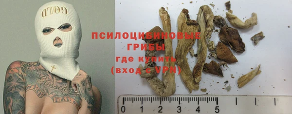 ALPHA PVP Баксан