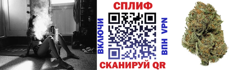 Каннабис MAZAR Верхняя Тура
